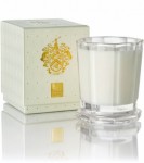 Trump Leather Mahogany and Sage Large Candle