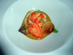 PerSe Lobster PerSe Lobster